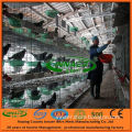 New Design PVC Coated Pigeon Houses (3-4 layers)
